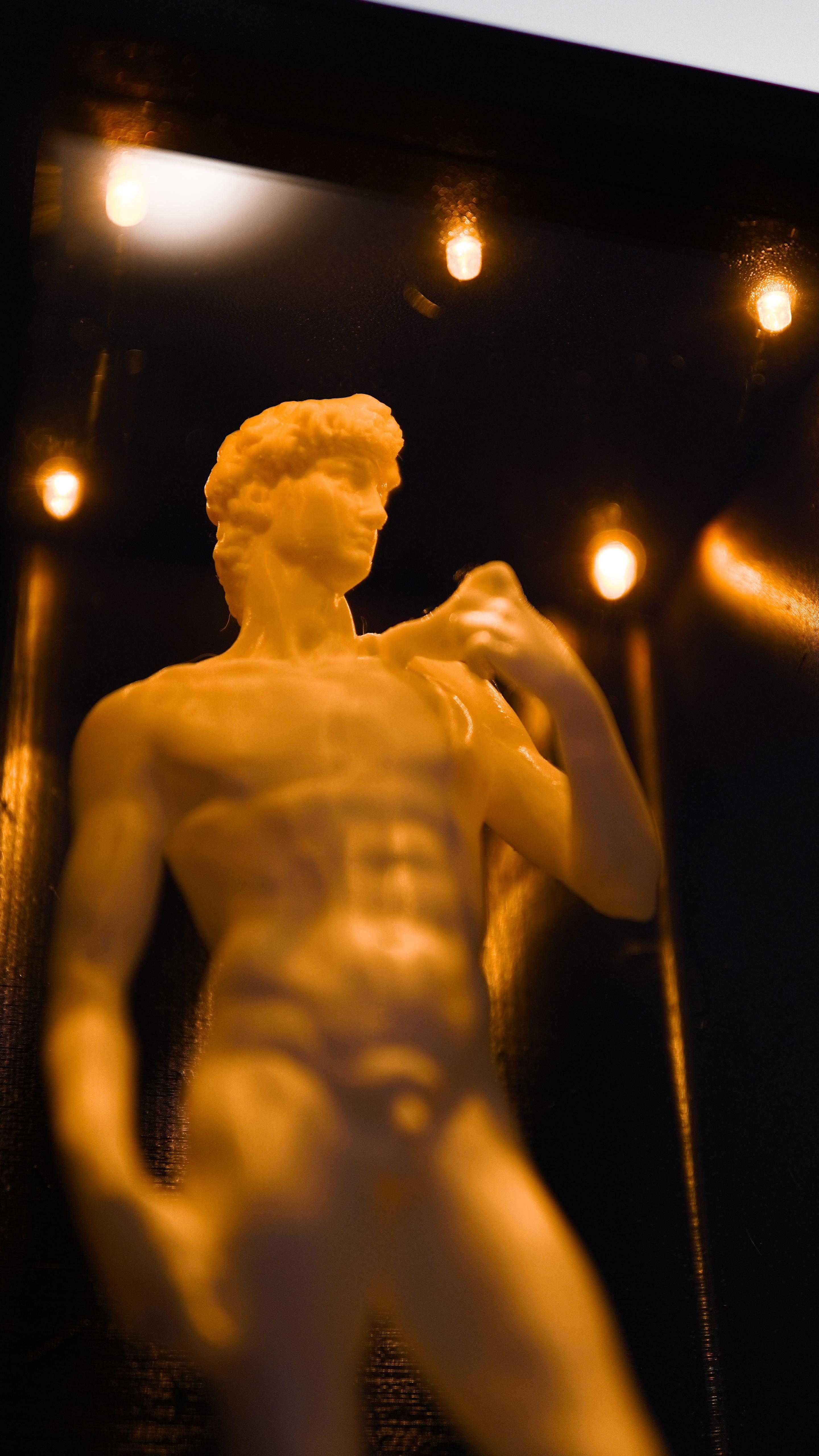 Statuie David de Michelangelo