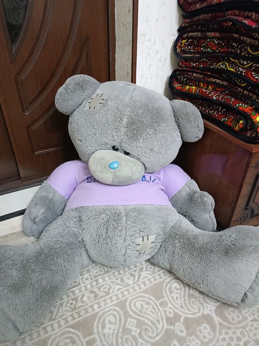 Teddy bear grayy