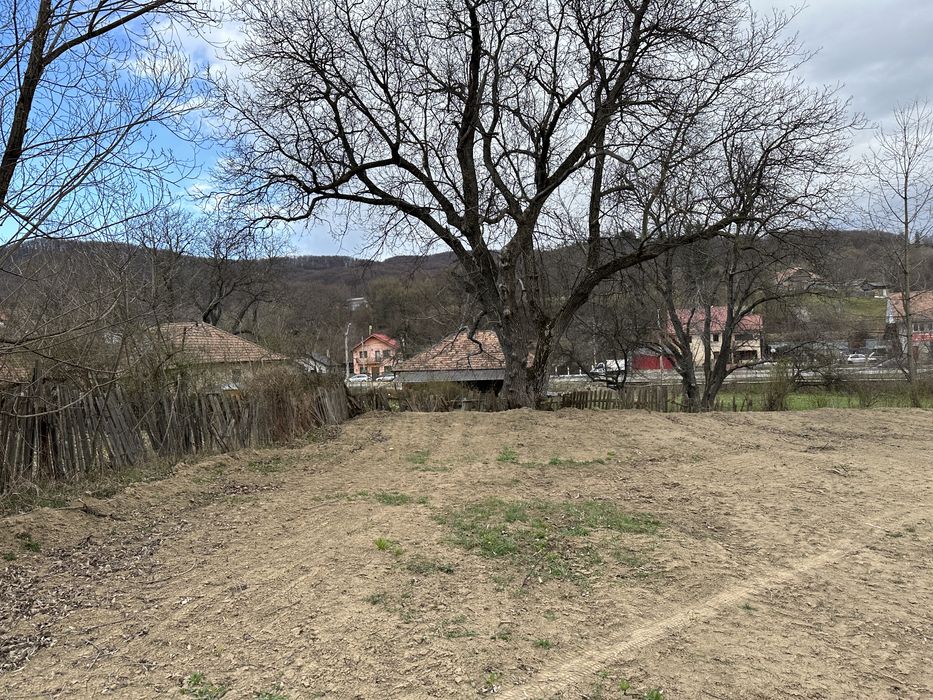 Teren Lunca Moinesti