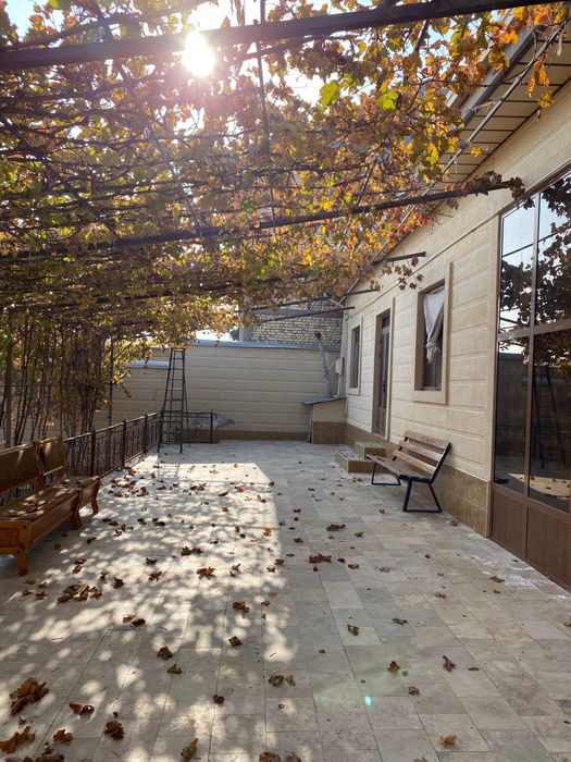 Ховли Мохи хосса 8 соток