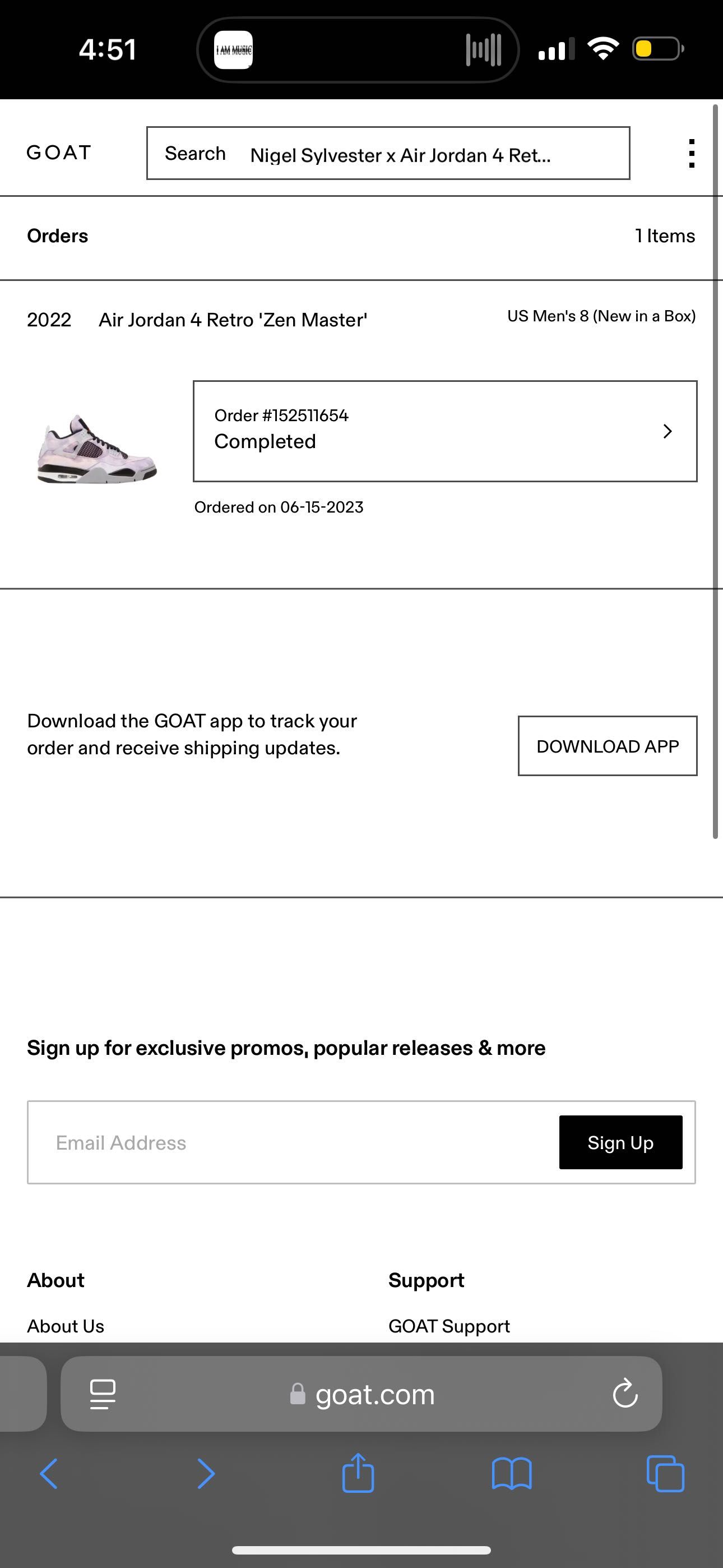 Jordan 4 Zen Master
