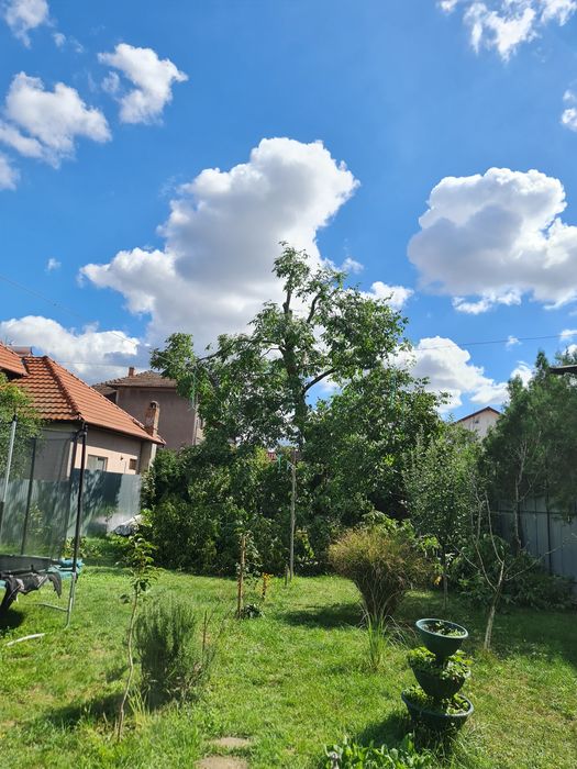 Alpinism utilitar, reparatii acoperis, demolat horn si toaletat copaci