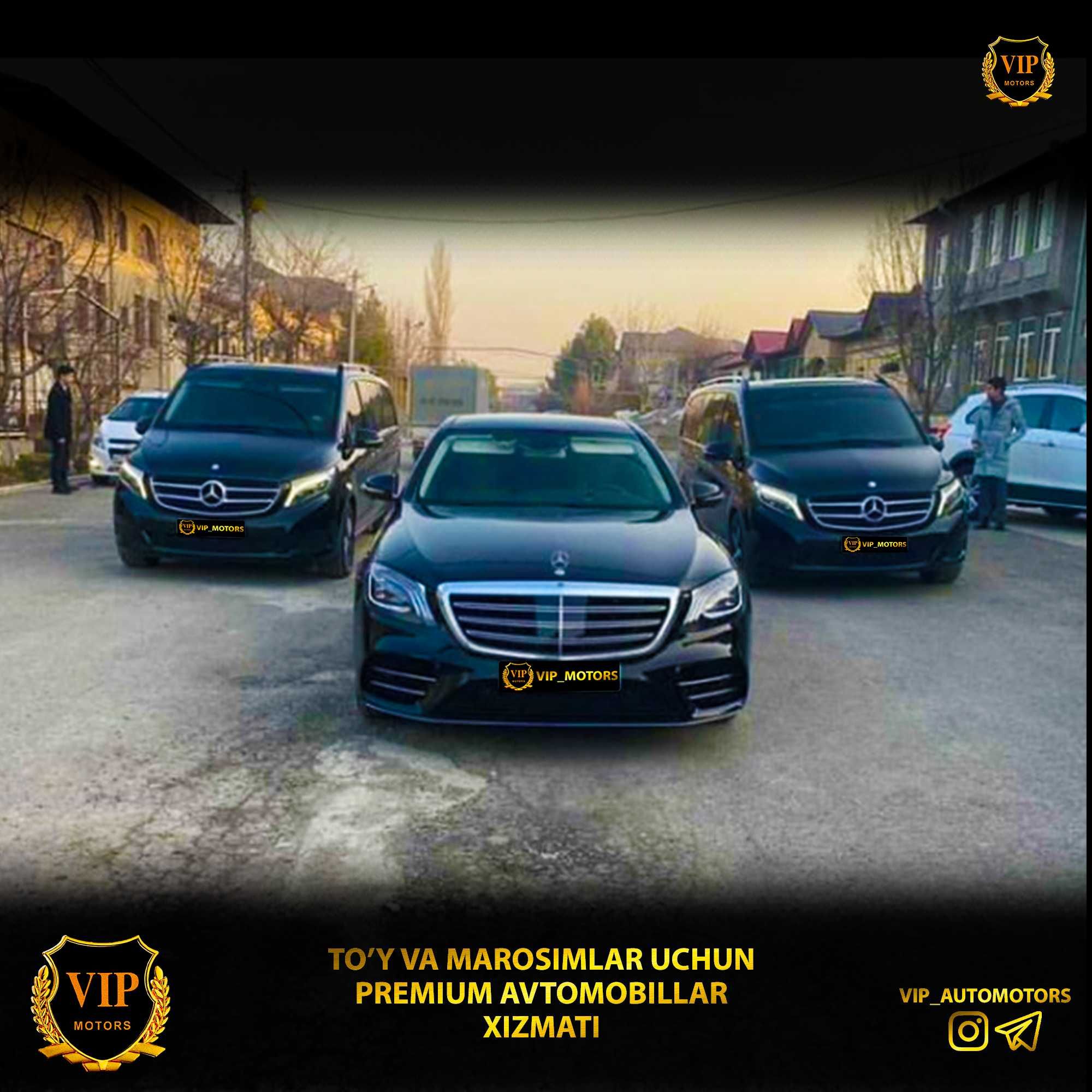 Kartej mercedes s class 222, 223. V class Vito,Viano toy,raddom,turizm