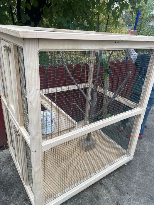 Vand colivie si papagal marele alexander