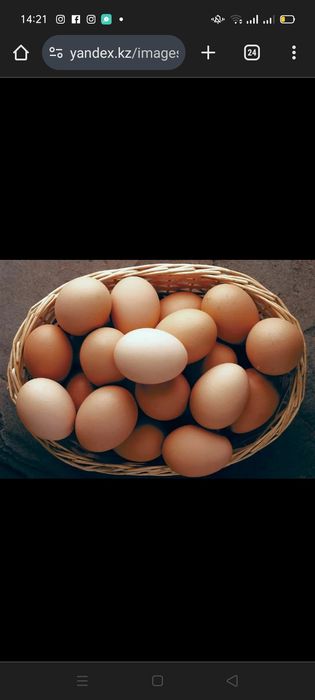 Яйца продам домашние