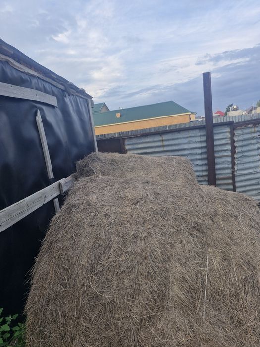 5мынан рулон срочна