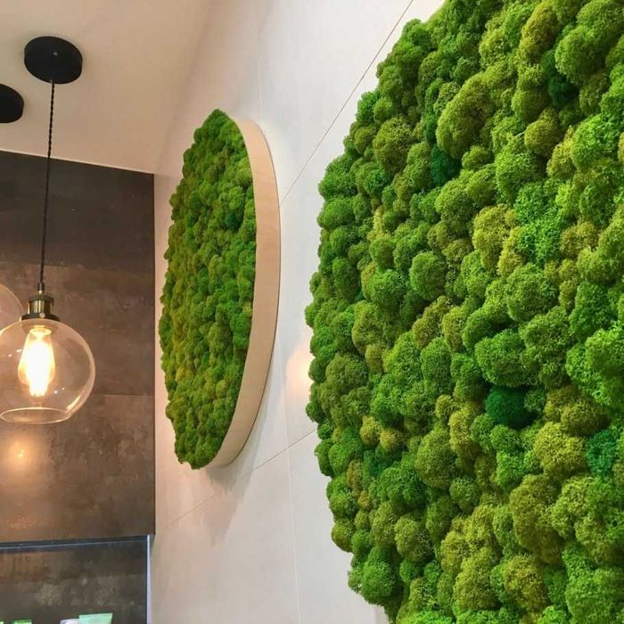 Озеленение Искусственное Вертикальное Мох Фито рамки Растения