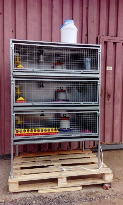 Bruder na zakaz lyuboy razmer