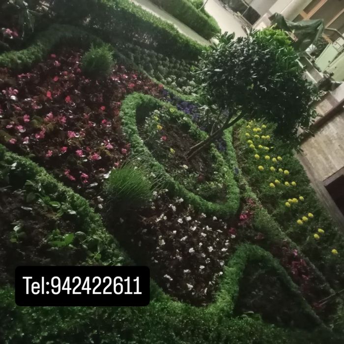 Landshaft dizayn xizmatlari sifatli va hamyonbop narxlarda