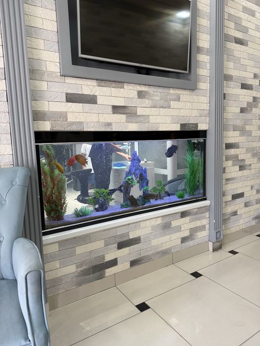 Professionall akvarium tozalash xizmati