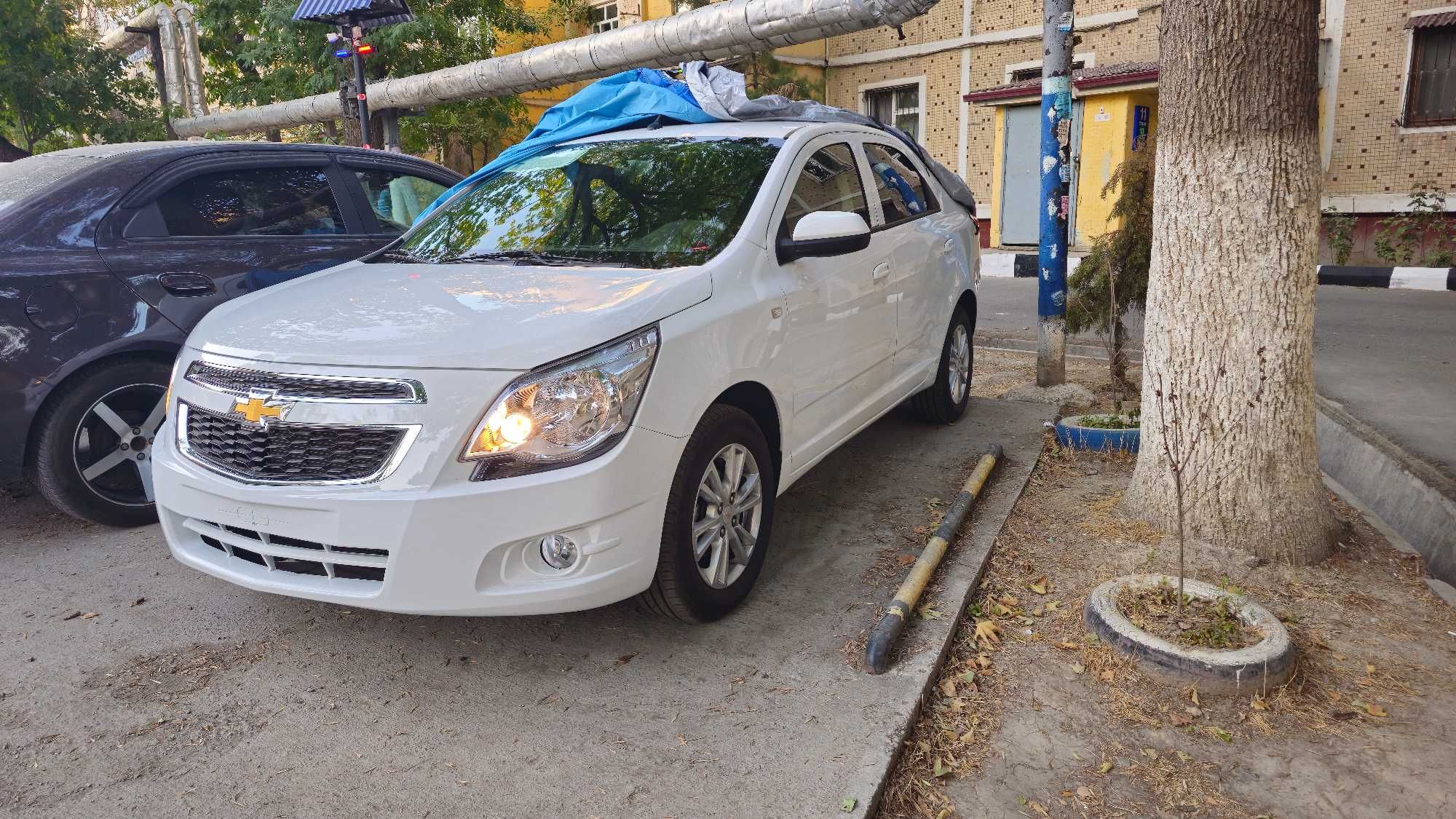 Кобальт Style (2023 Ноябрь)