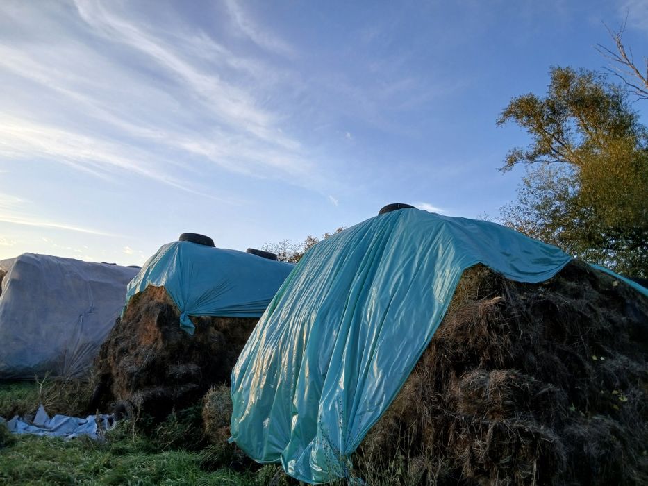 Vând baloți de fân/lucernă