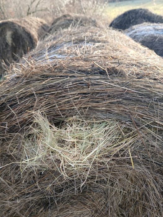 Vând Baloți Fânețe