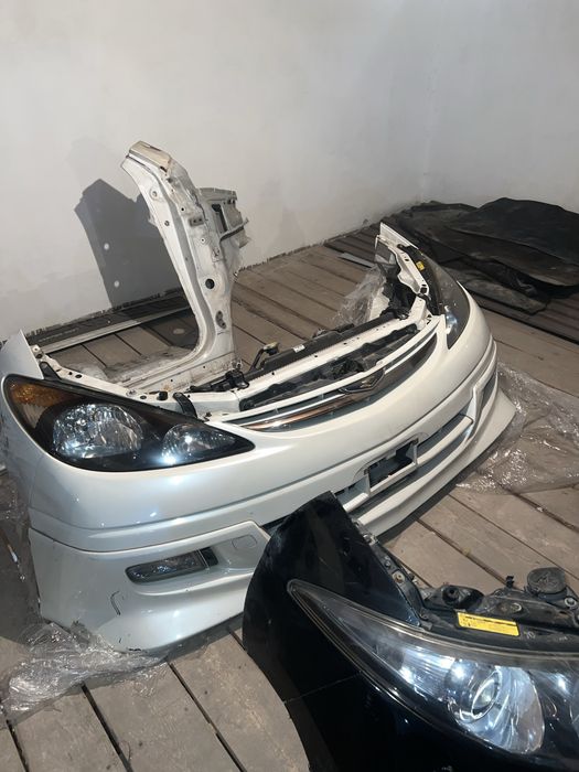 Ноускат  Toyota Estima