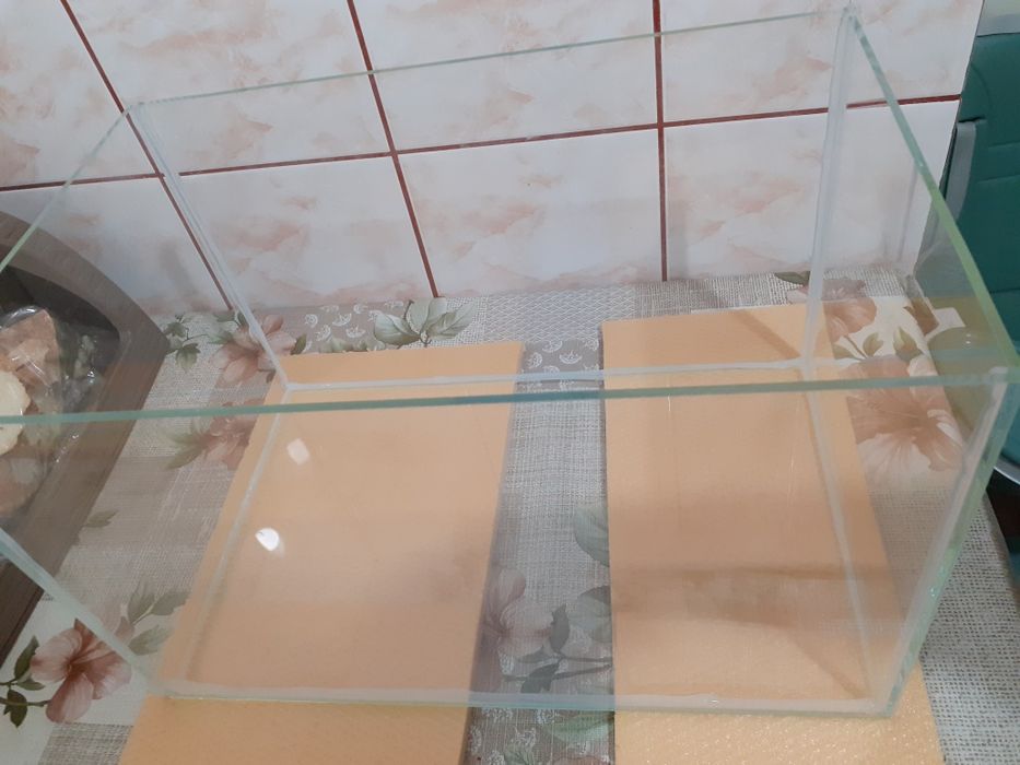 Acvariu nou pesti