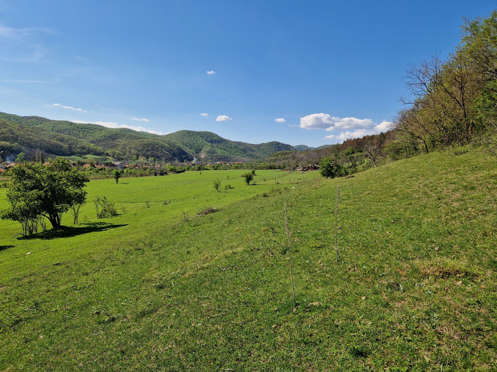 Teren de vanzare. 5000mp
