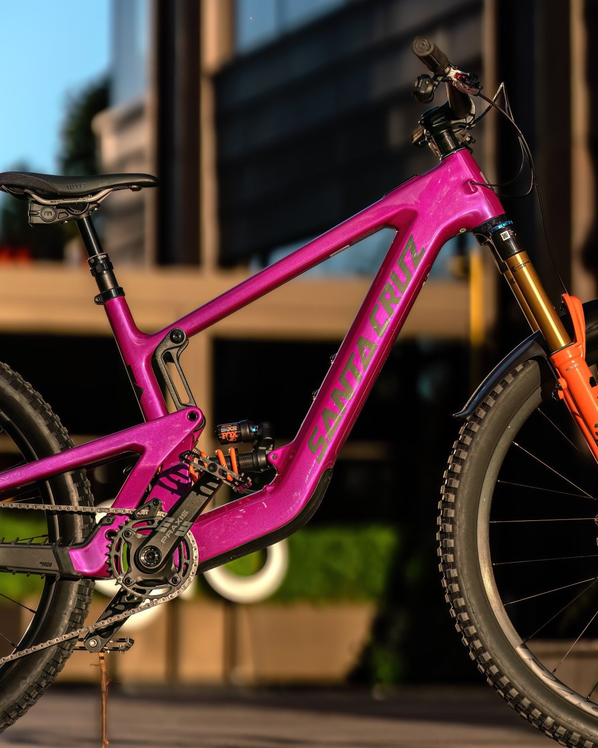 Santa cruz heckler sl c   (L)  Cu Acte.