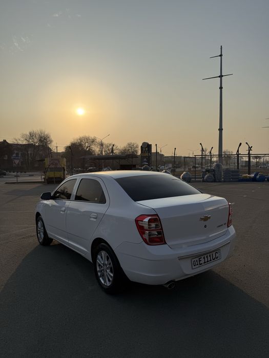 Cobolt sotiladi 2024 yil Polni Navarot qilingan