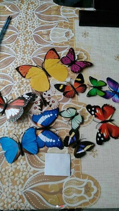Fluturi decorativi 3D,multicolori
