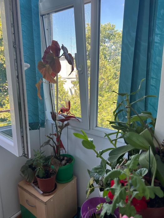 Inchiriez apartament 2 camere