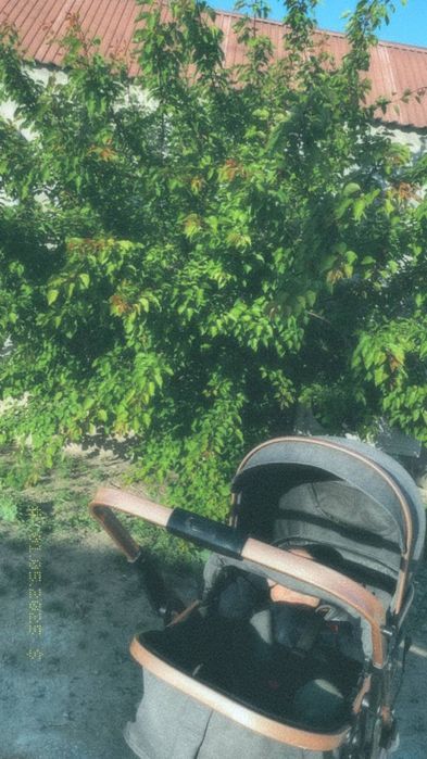 Буу Коляска трансформер Belecoo