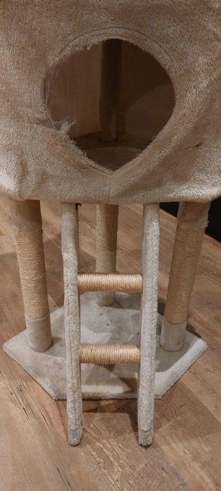 Котешко дърво високо