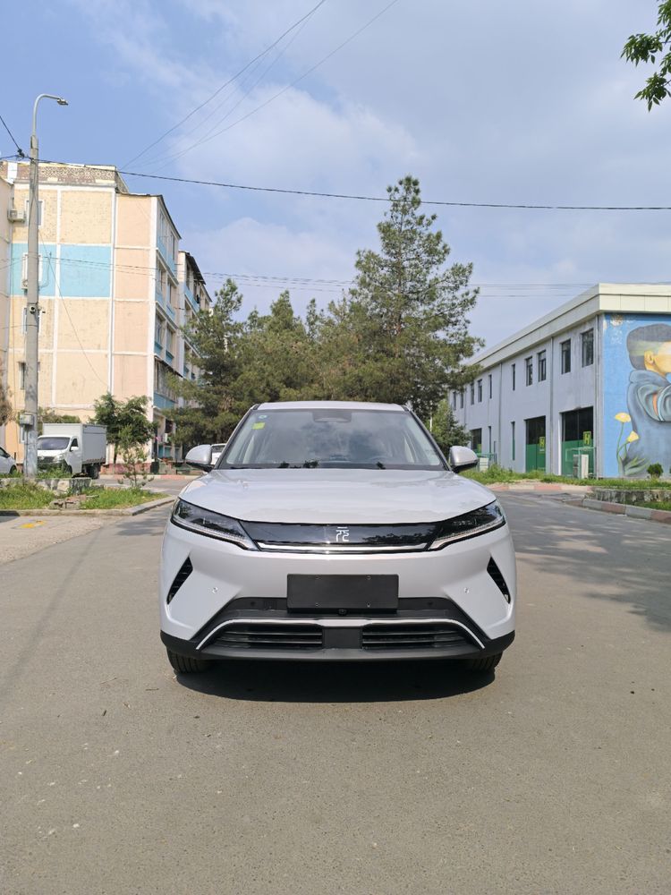 Yuan Up 401km smart