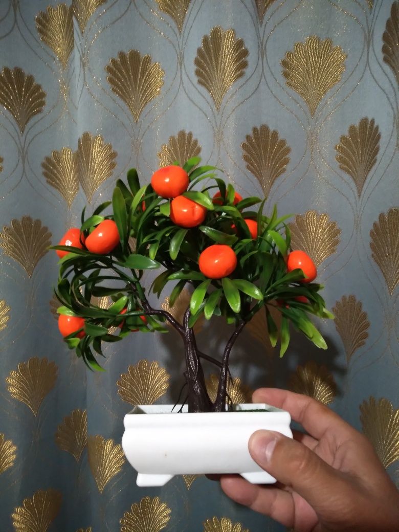 продам дерево-аппельсиновое, сувенир
