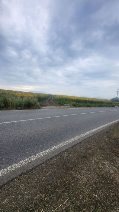 Oportunitate de investiție-Teren Horlești/Rediu 4,6 Ha