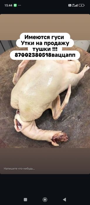 Продаю тушек уток ,гусей .
