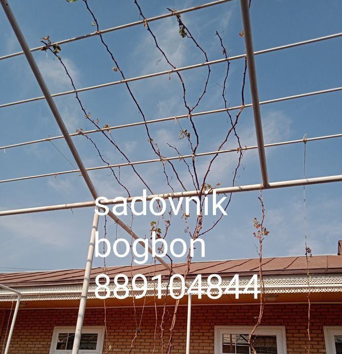 Sadovnik bogbon tok kesish archa gazon xizmati