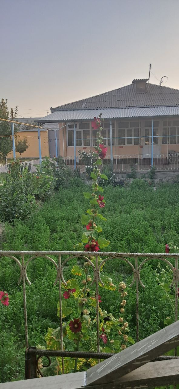 Bulungur shahridagi uy