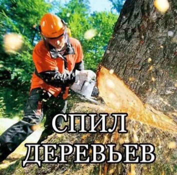 Профессиональная посадка-пересадка деревьев Лечение деревьев спил дере