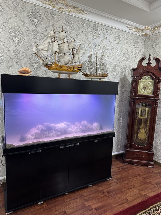 Продается Аквариум срочно