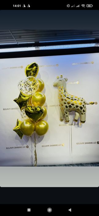 Оформление шар и Воздушные шар