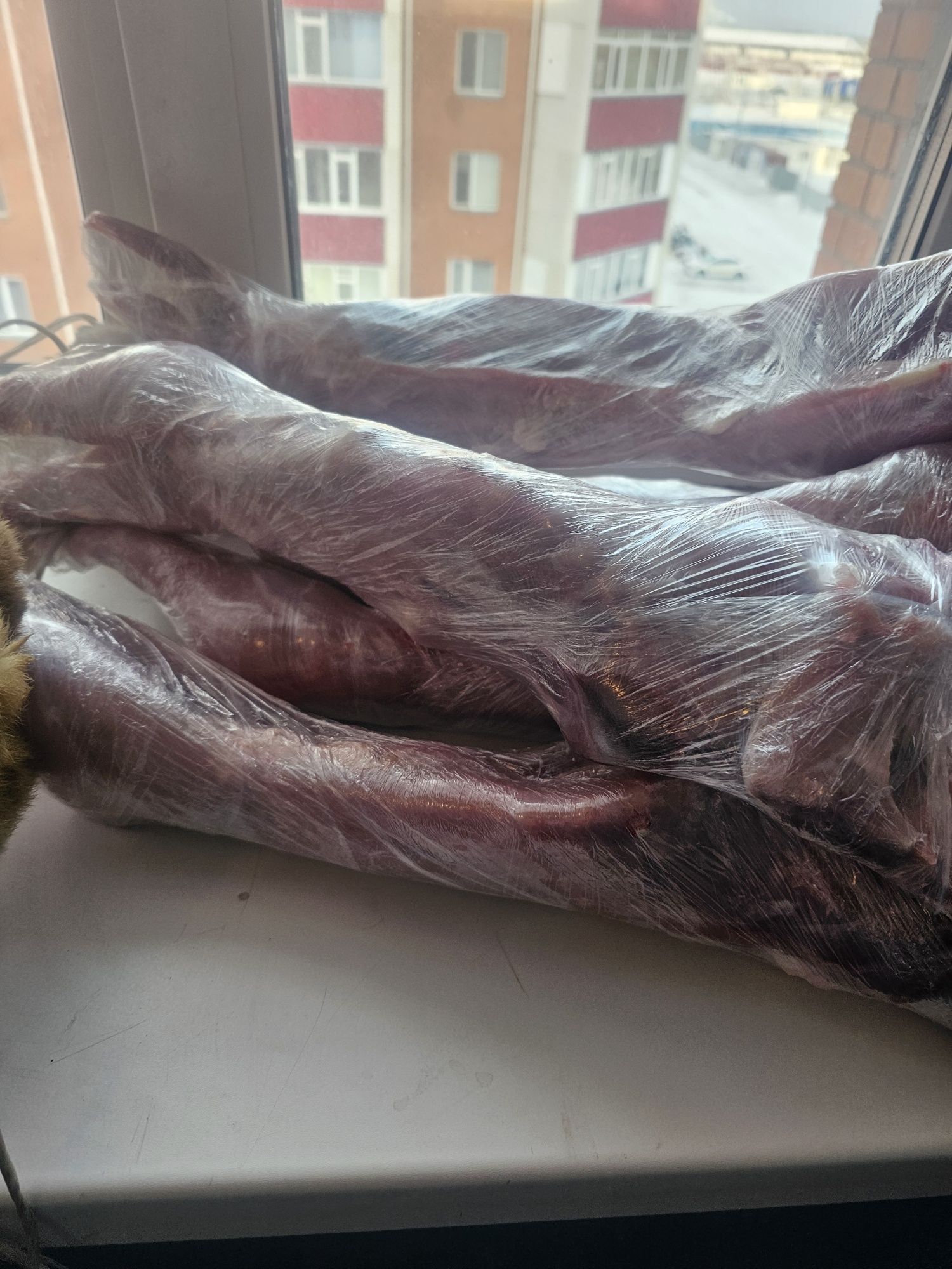 Продам диетическое мясо кролика