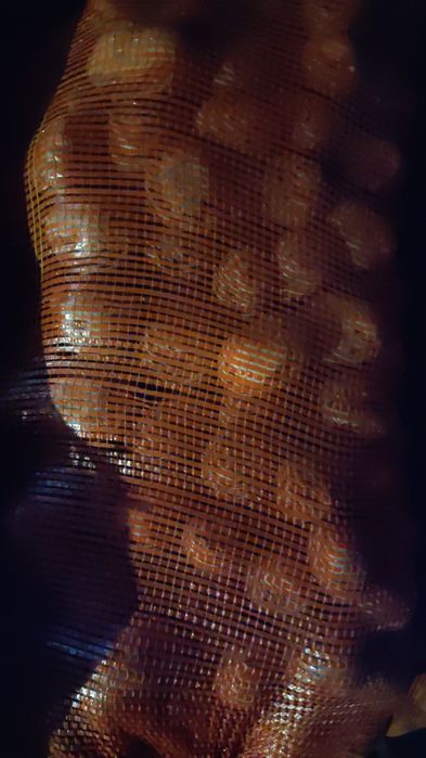 Продам картофель