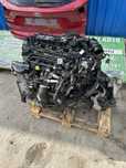 Motor Ford  Kuga 2.0 Tdci T8MA 180 cp
