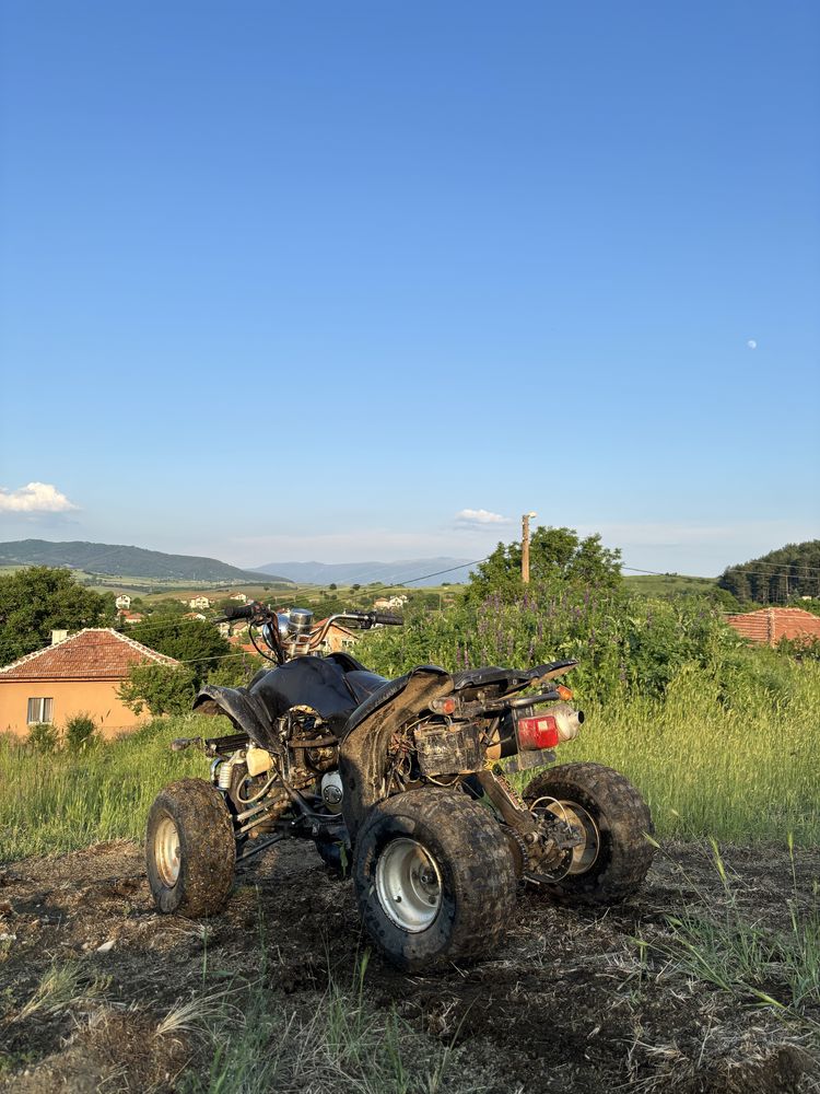 Atv 200cc Peidu lizard