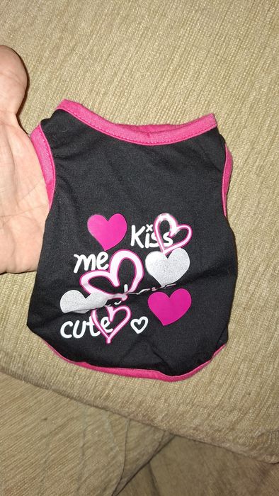 Hăinuțe, ham, zgardă pentru cățel talie mică.