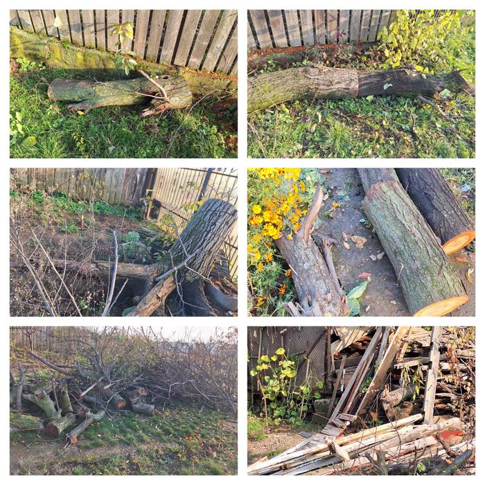 Lemne de foc de vanzare