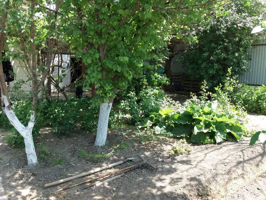 продается дом на первом участке