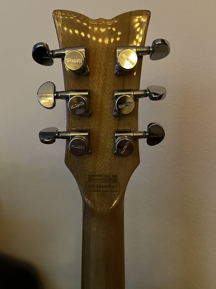 Schecter Solo-II Custom TBB