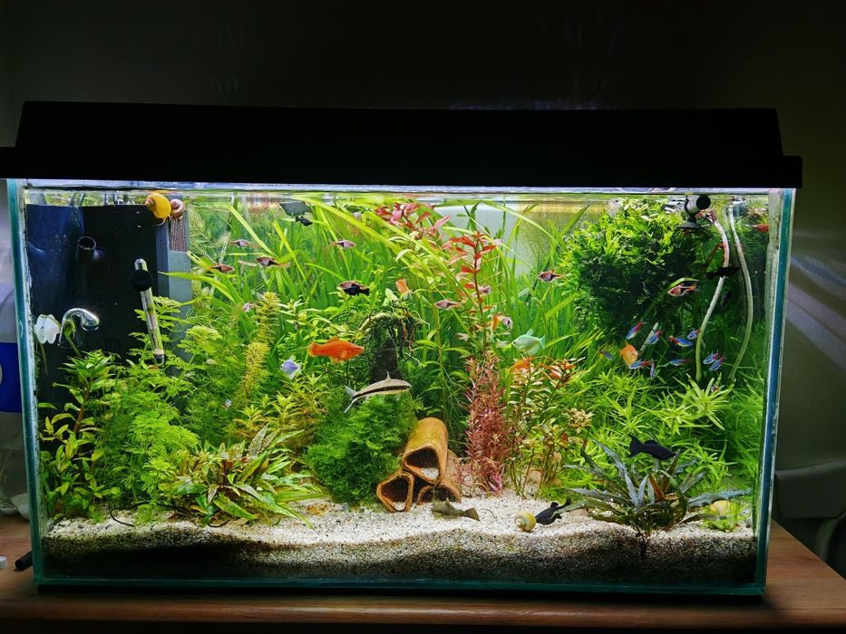 Acvariu 80x35x45