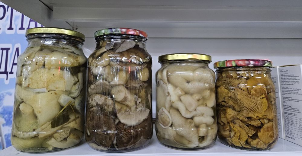 Грибы маринованные, солёные, замороженные и сушёные 2025 года