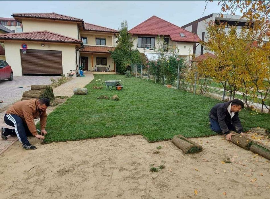 Plante ornamentale pentru grădini verzi și îngrijite