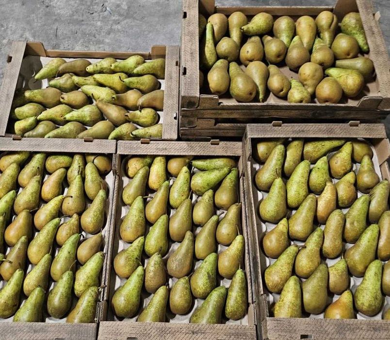 Pere frumoase și proaspete, diferite ambalaje și soiuri!