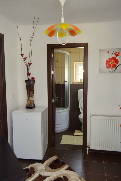 Cazare in Calimanesti Caciulata