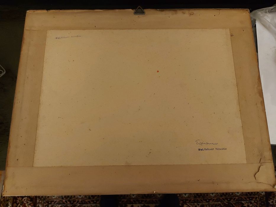 Съвременна Немска Картина