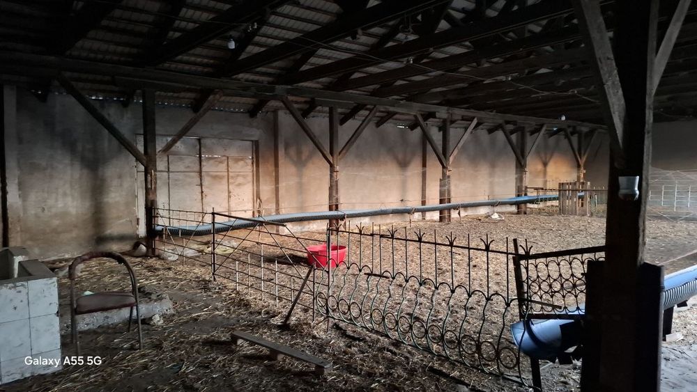 Нотурар жой сотилади